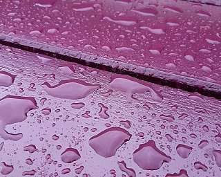 Nahaufnahme von Wassertropfen auf einer lila Holzoberfläche.