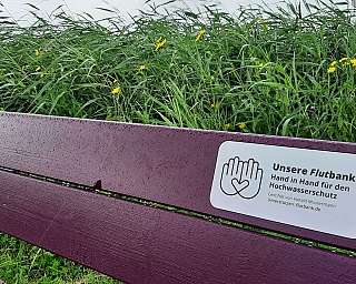 Eine nasse Bank mit einer Plakette zum Hochwasserschutz.