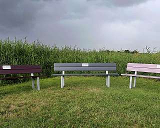 Drei farbige Bänke stehen in einer grünen Umgebung.